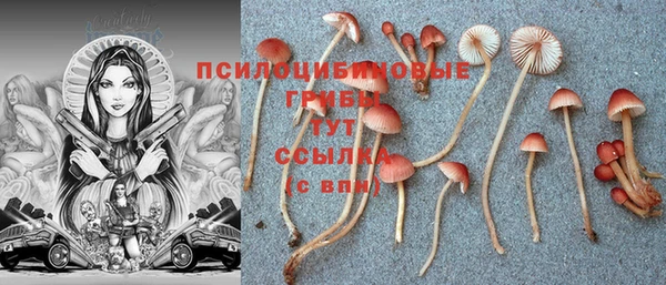 мяу мяу мука Алексеевка