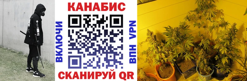Бошки Шишки план Касимов